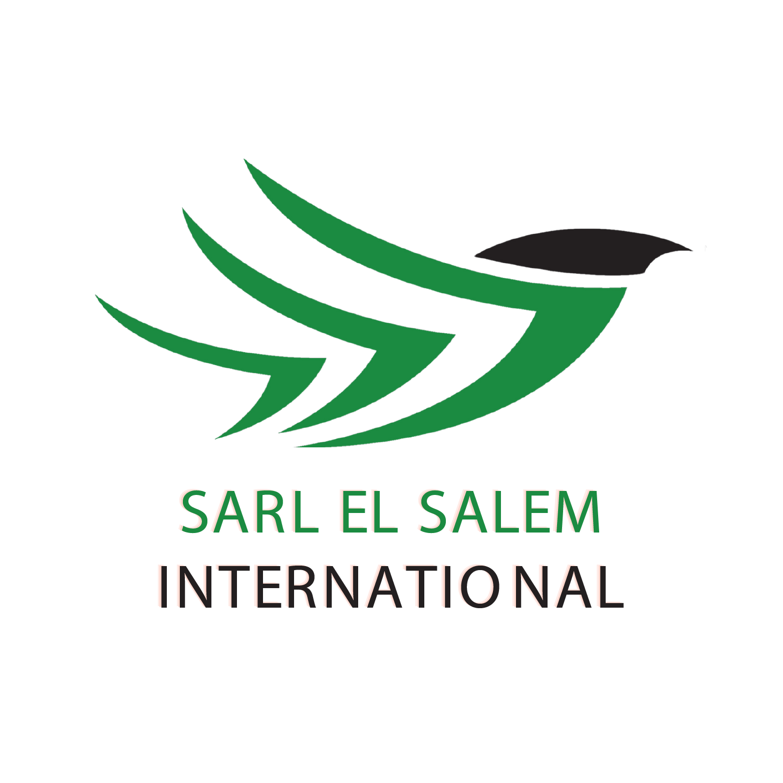 Description de l image